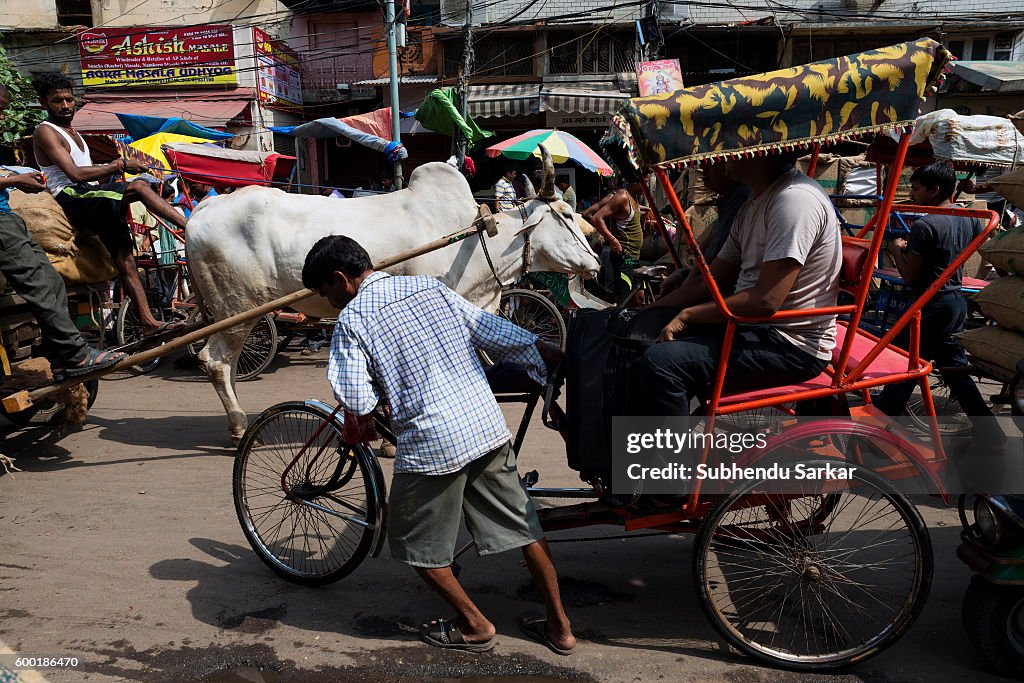 A man pulls a rickshaw while another rides a bullock cart in a busy ...