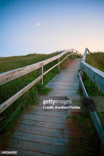 cedar dunes provincial park, woodlane path - prince edward island stock pictures, royalty-free photos & images