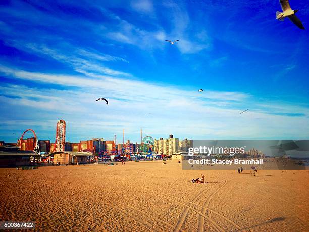 birds fly over coney island beach in brooklyn, new york - coney island photos et images de collection