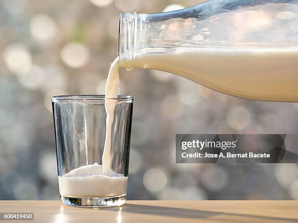 filling of a glass of milk in a glass glass with natural light - filling jar stock pictures, royalty-free photos & images