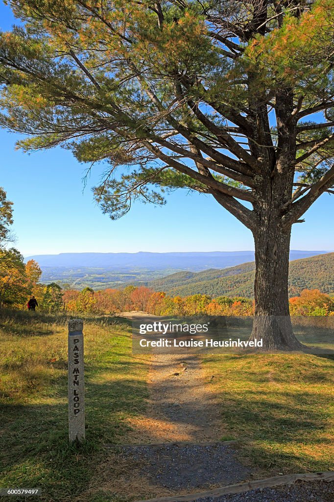 Pass Mountain Loop Trail, Shenandoah National Park