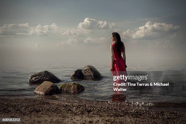 a woman stands on the beach in the water - tina terras michael walter stock pictures, royalty-free photos & images