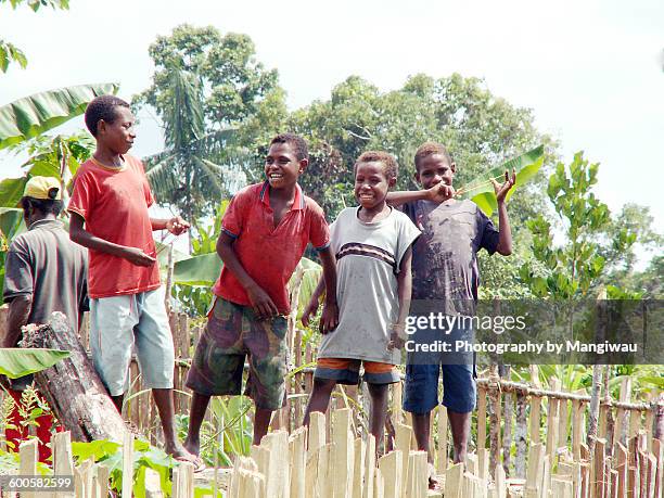 community garden - melanesia stock pictures, royalty-free photos & images