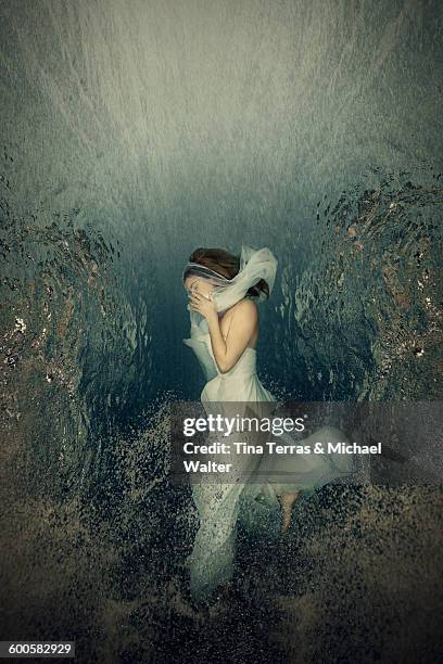 woman underwater - tina terras michael walter 個照片及圖片檔