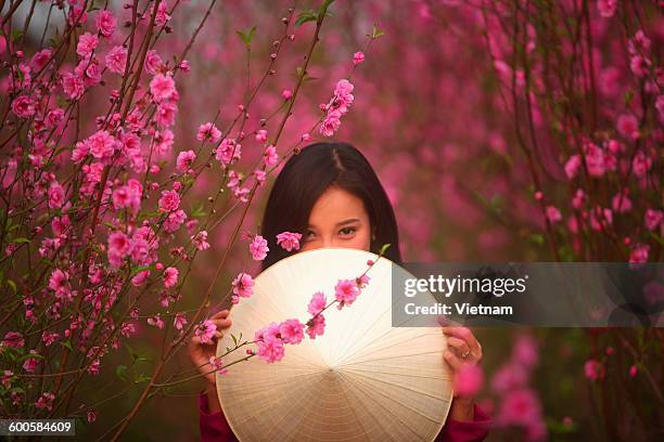 asia eyes - vietnam spring stock pictures, royalty-free photos & images