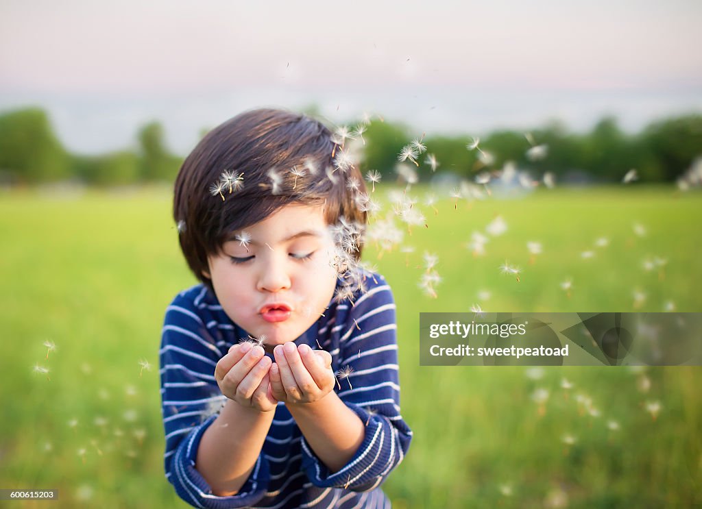 Boy blowing dandelions