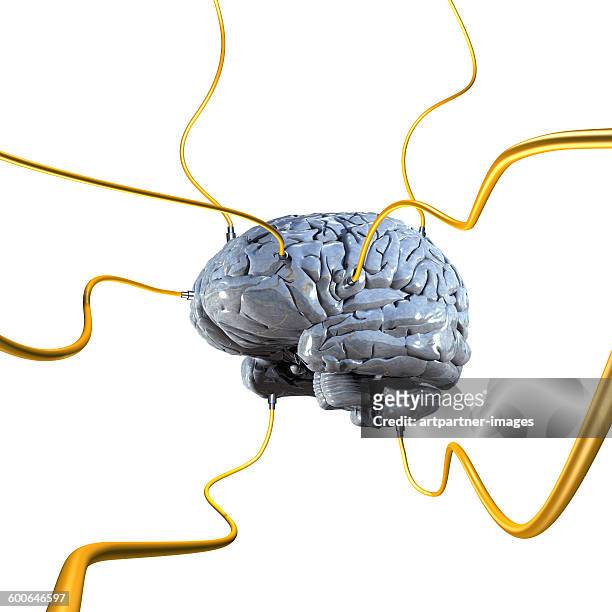 human brain with cables - heidelberg project stock pictures, royalty-free photos & images