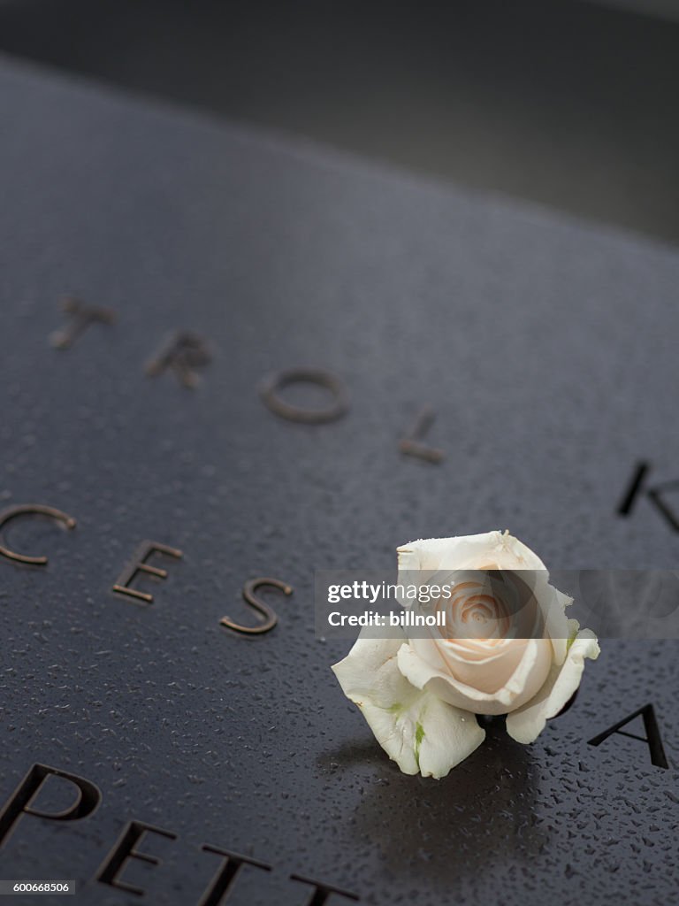 Misty blurred view of the 9/11 Memorial and memorial rose