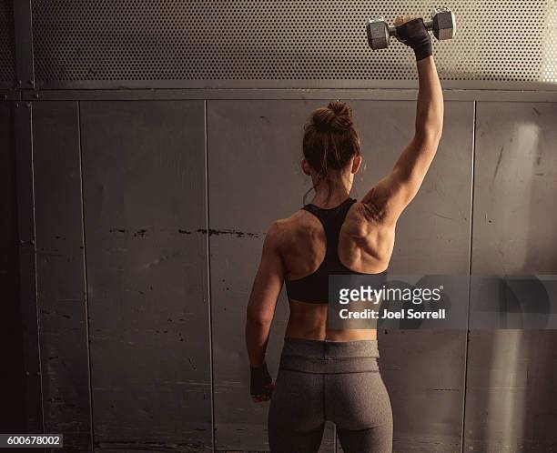 frau gewichte heben  - lifting weights stock-fotos und bilder