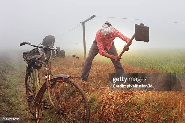 farmer digging in the field - garden hoe stock pictures, royalty-free photos & images