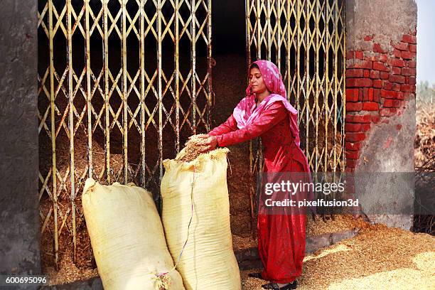Shaff 46 Shaff Stock Photos, High-Res Pictures, and Images - Getty Images