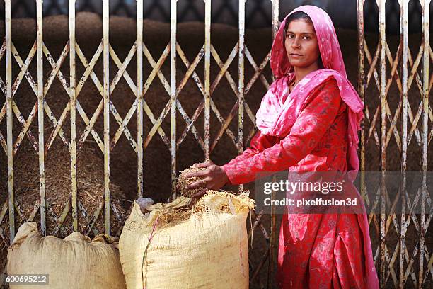 Shaff 46 Shaff Stock Photos, High-Res Pictures, and Images - Getty Images