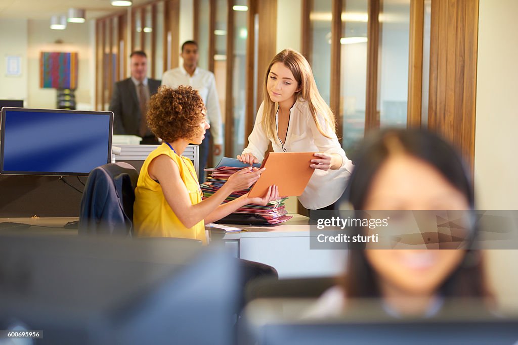 Office junior collecting files