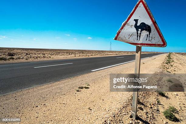 camel crossing sign in western sahara desert - camel crossing sign stock pictures, royalty-free photos & images