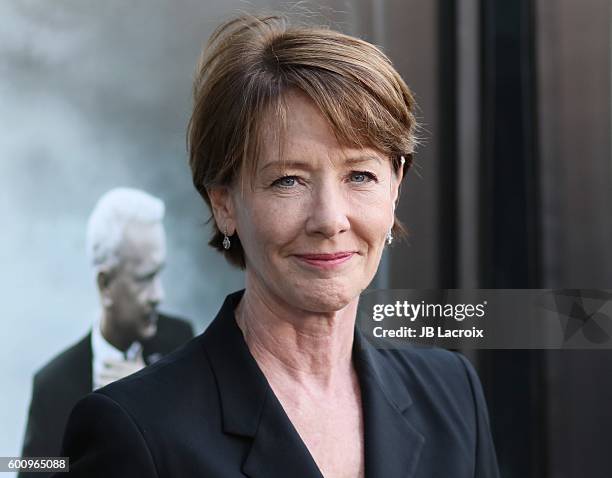 Ann Cusack attends the screening of Warner Bros. Pictures' 'Sully' on September 8, 2016 in Los Angeles, California.