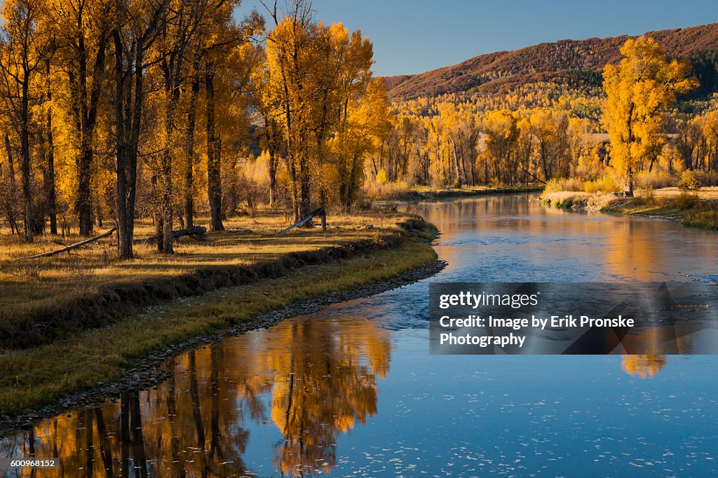 Autumn Along the Yampa River