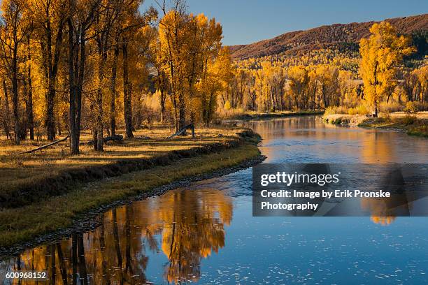 autumn along the yampa river - steamboat springs stock pictures, royalty-free photos & images