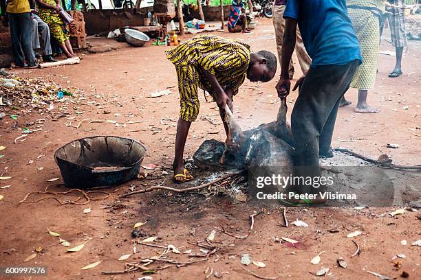 locals cooking food. benin, west africa. - voodoo bildbanksfoton och bilder