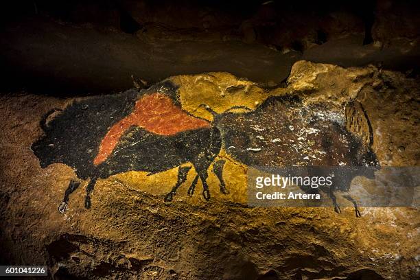Replica of part of the Lascaux cave showing two prehistoric bull bison at the Le Thot museum, Thonac near Montignac, Dordogne, France.