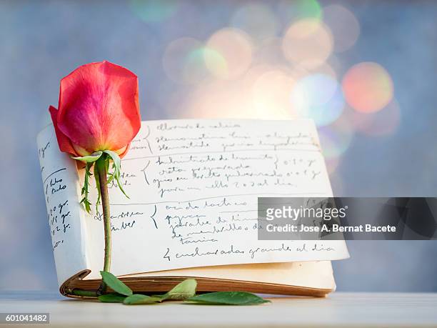 note-pad of you notice personal former writing with pen of ink and a rose - poet stock pictures, royalty-free photos & images