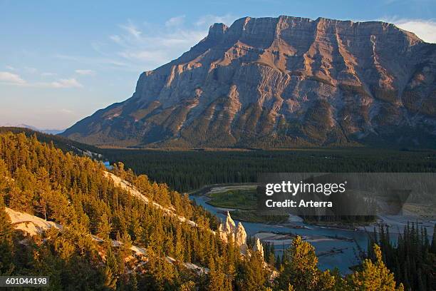 Mount Rundle Design 931 Rundle Range National Park Stock Photos, High-Res Pictures, and ...