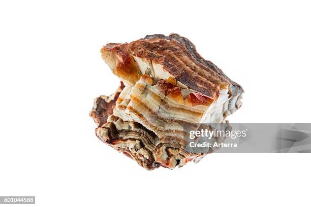 Druse of agathe specimen, cryptocrystalline variety of silica, on white background.