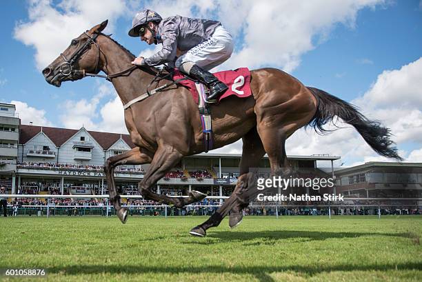 Tony Hamilton riding Bell Heather during The ApolloBET Bet On Lotteries Fillies Handicap Stakes at Haydock Park Racecourse on August 4, 2016 in...