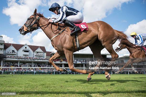 Clifford Lee riding Sister Dude during The ApolloBET Bet On Lotteries Fillies Handicap Stakes at Haydock Park Racecourse on August 4, 2016 in...