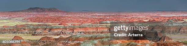 The Painted Desert, part of the Petrified Forest National Park stretches some 50,000 acres of colorful mesas, buttes, and badlands, Arizona, USA.