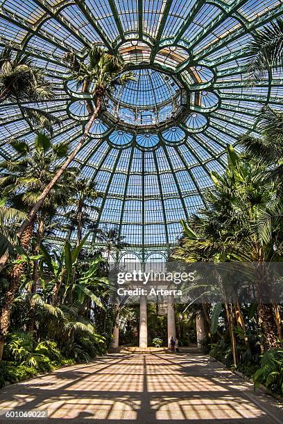 Palm trees in the Jardin d'hiver / Winter Garden at the Royal Greenhouses of Laeken in Art Nouveau style, designed by Alphonse Balat in the park of...