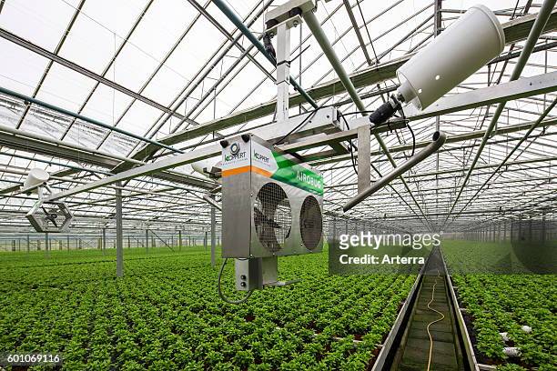 Airobug, fully automatic blower used as pest control system in greenhouse with azaleas.
