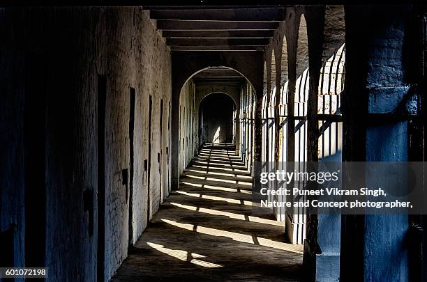 cellular jail - prison stock pictures, royalty-free photos & images