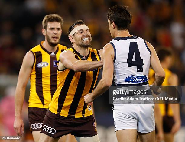 Luke Hodge of the Hawks remonstrates with Andrew Mackie of the Cats during the 2016 AFL Second Qualifying Final match between the Geelong Cats and...