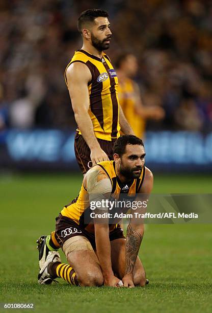 Paul Puopolo of the Hawks consoles Shaun Burgoyne of the Hawks after the 2016 AFL Second Qualifying Final match between the Geelong Cats and the...