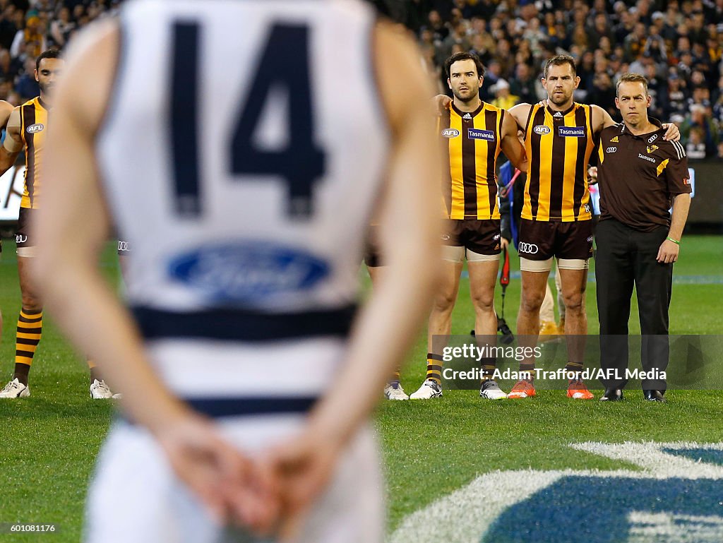 AFL Second Qualifying Final - Geelong v Hawthorn