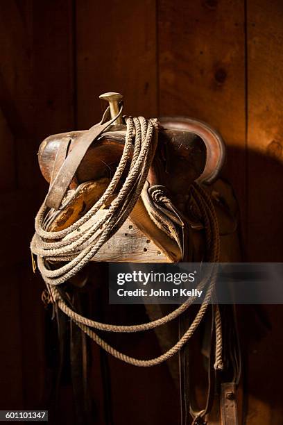 horse saddle and lasso in tack room - paardrijbenodigdheden stockfoto's en -beelden