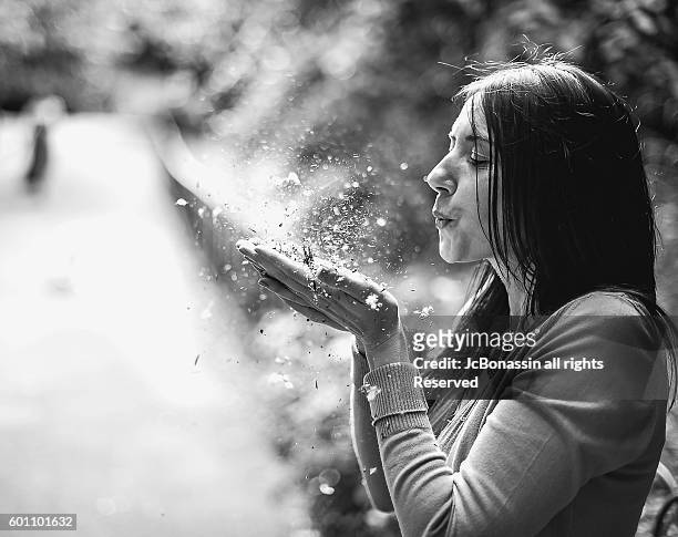 woman blowing dust - jc bonassin stock-fotos und bilder