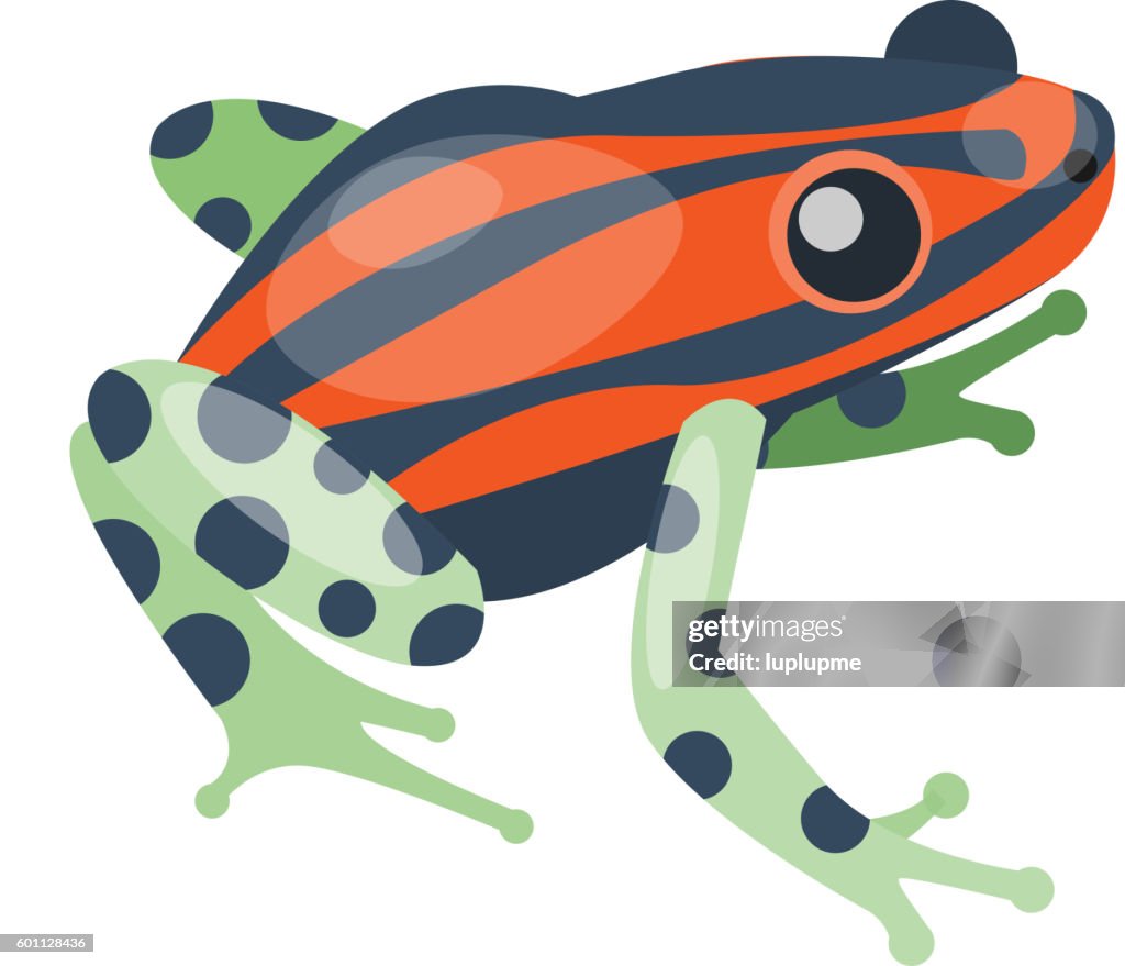 Animales Tropicales De Dibujos Animados De Ranas Ilustración de stock - Getty Images Animales Tropicales De Dibujos Animados De Ranas Ilustración de stock - Getty Images