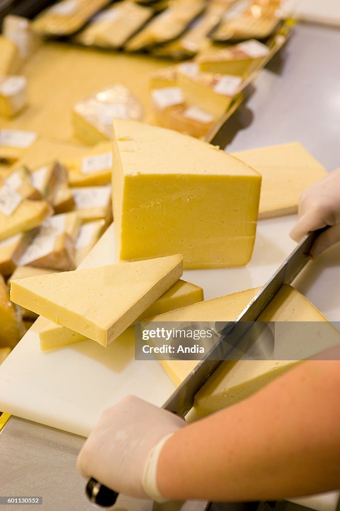 Cheese dairy : cheese cutting