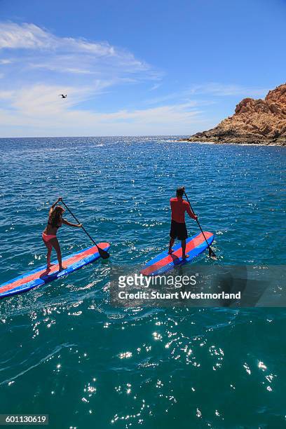 couple on paddleboards - cabo san lucas fotografías e imágenes de stock