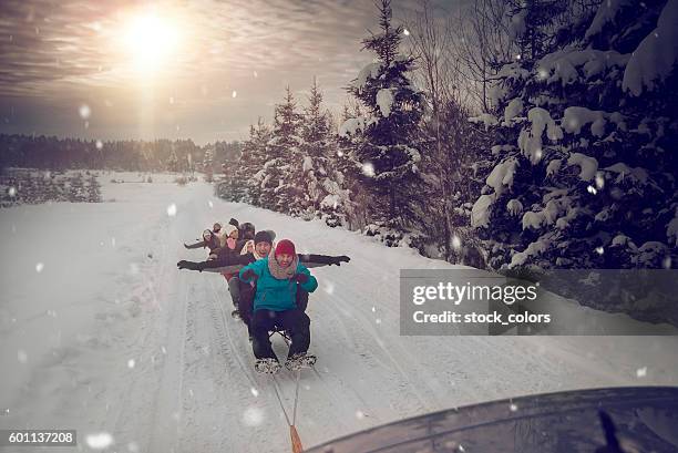 spaß im winter - european sports pictures of the month december stock-fotos und bilder