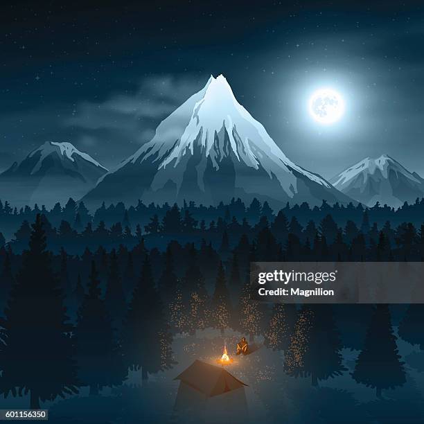 bildbanksillustrationer, clip art samt tecknat material och ikoner med mountain landscape with the traveler in deep forest - campfire