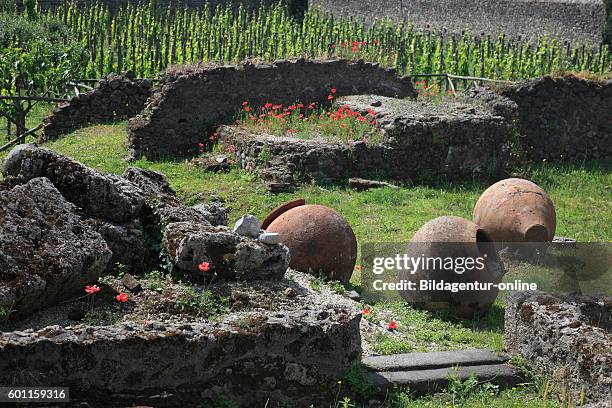 The amphora at Garden of the refugees, Pompeii, Campania, Italy.