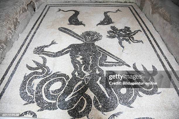 The Mosaico nell 'apodyterium in the women's therma, ruined city of Herculaneum, Campania, Italy.