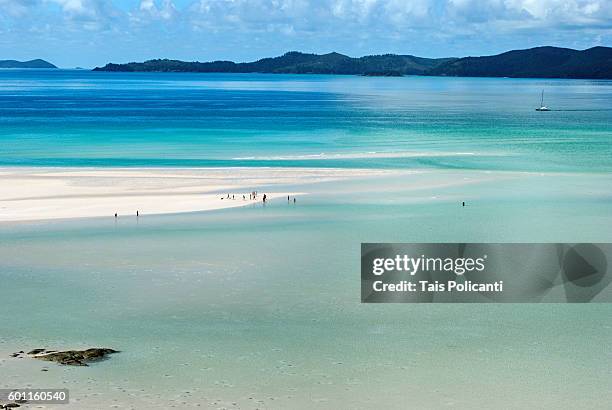 clear blue sea at whitehaven beach, whitsunday islands, australia, oceania - whitehaven beach stockfoto's en -beelden