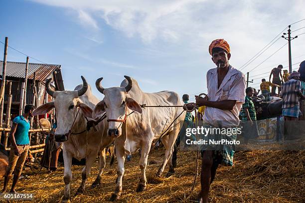 Bangladeshi prepare to celebrate the Eid-al-Adha in Dhaka, Bangladesh, on 9 September 2016. Eid al-Adha is an Islamic festival to commemorate the...