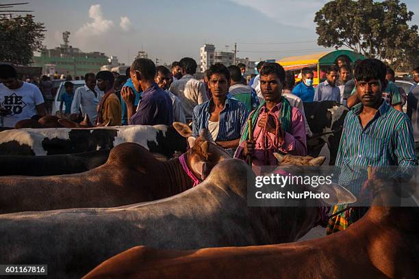 Bangladeshi prepare to celebrate the Eid-al-Adha in Dhaka, Bangladesh, on 9 September 2016. Eid al-Adha is an Islamic festival to commemorate the...