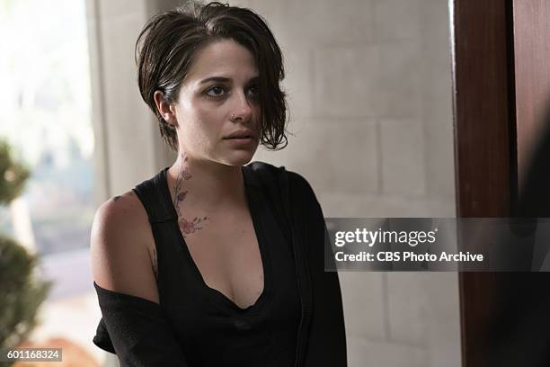 "Madame X" and "Whistler's Mother" -- With a killer taunting them, the Hawthornes look to the police for assistance, but Brady needs Garrett's help...