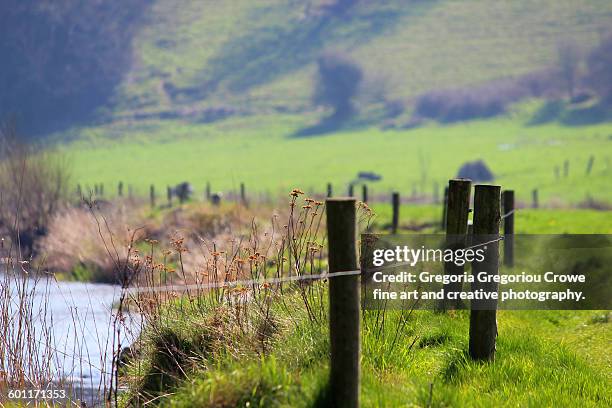 fence by the river - gregoria gregoriou crowe fine art and creative photography stock pictures, royalty-free photos & images