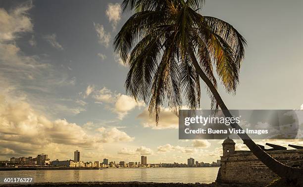 havana skyline. - havana stockfoto's en -beelden